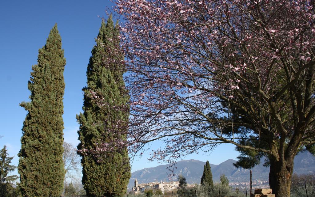 Le Storie Di Bambu Guest House Terni Exterior photo