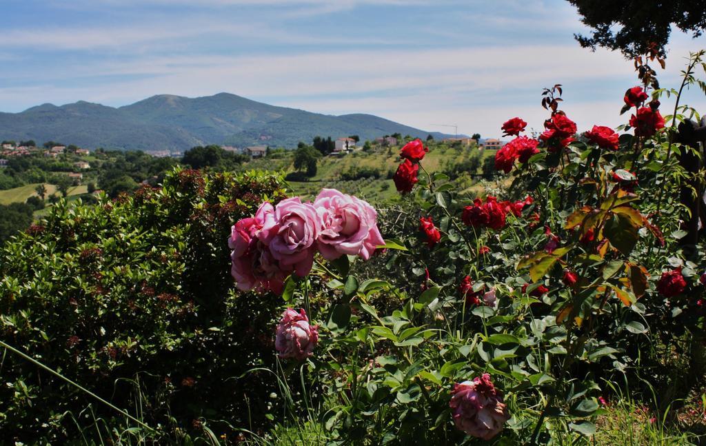 Le Storie Di Bambu Guest House Terni Exterior photo