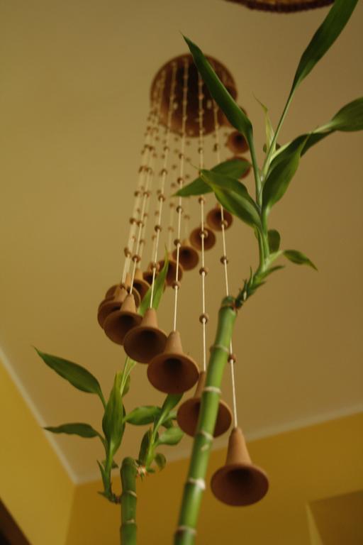 Le Storie Di Bambu Guest House Terni Exterior photo