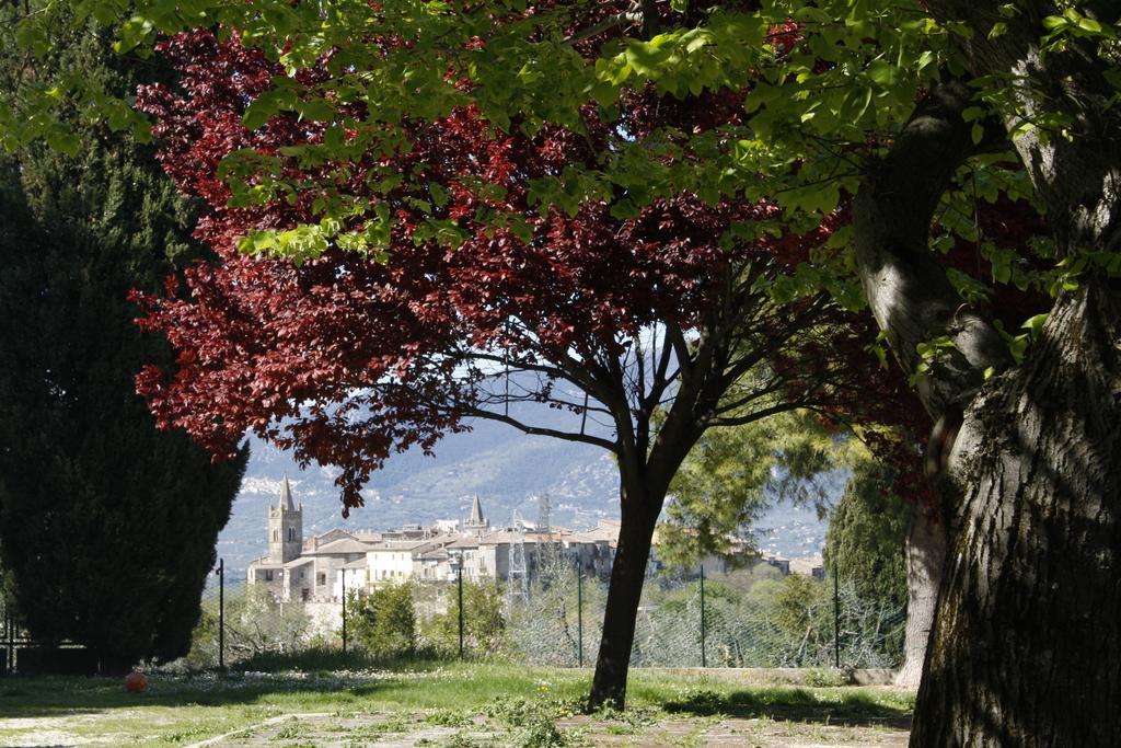 Le Storie Di Bambu Guest House Terni Exterior photo
